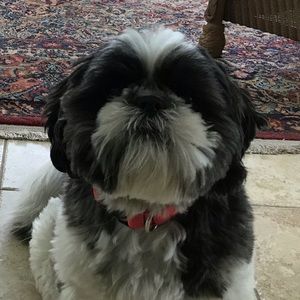 Meet your Posher, Nancy